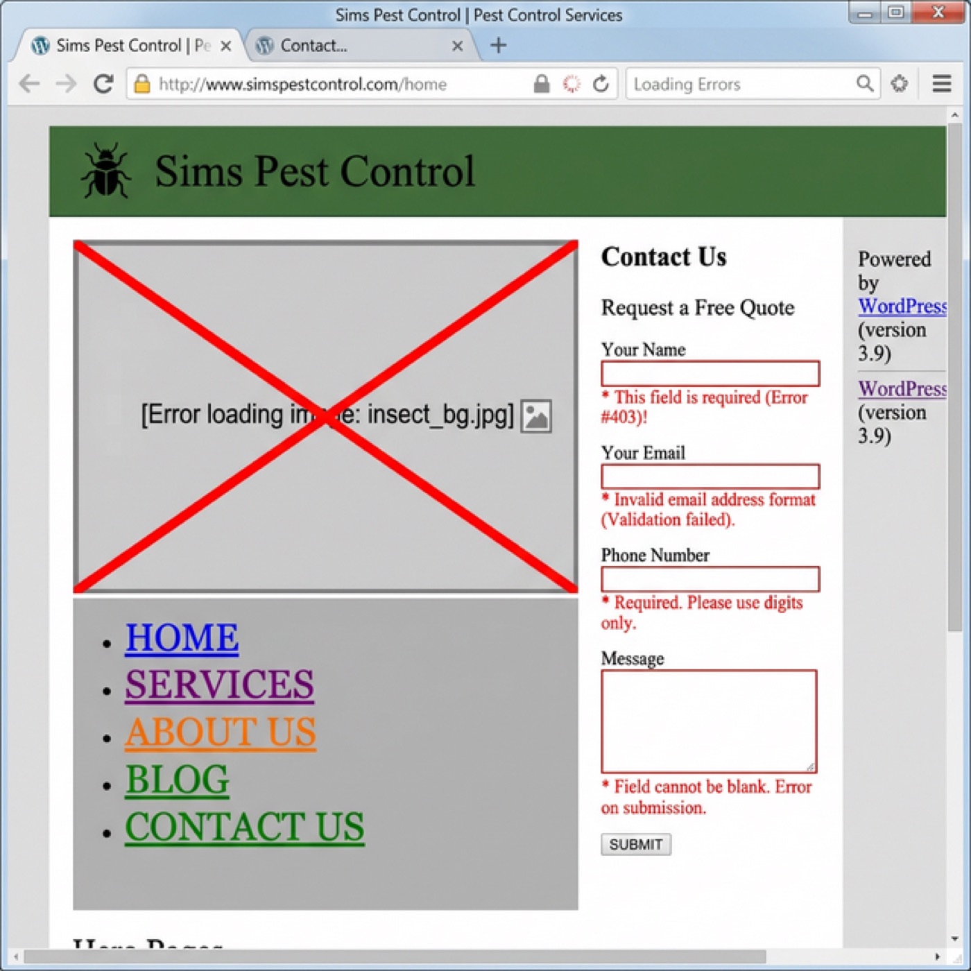 Sims before